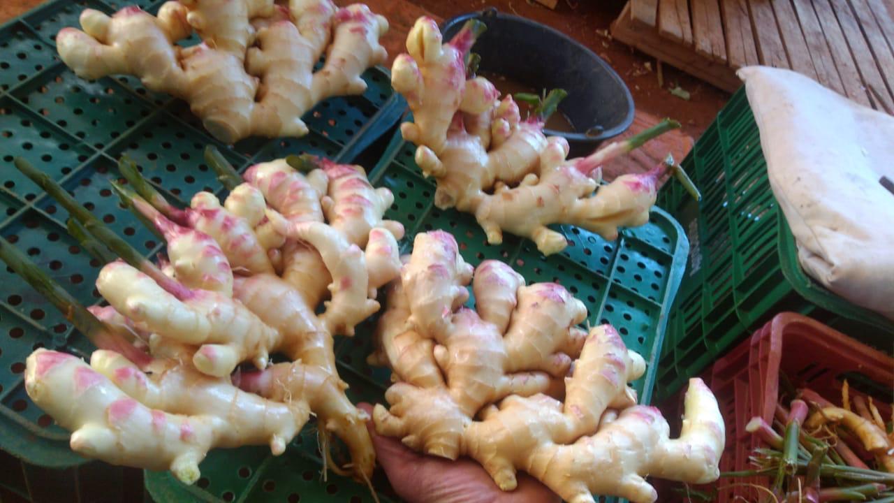 WhatsApp Image 2021-12-07 at 17.00.47 (2).jpeg