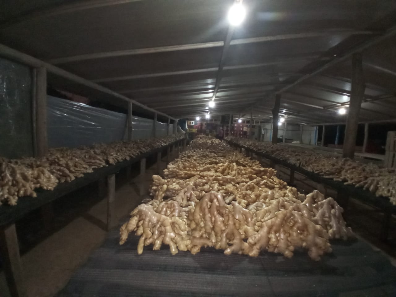 WhatsApp Image 2022-08-25 at 13.01.46 (1).jpeg