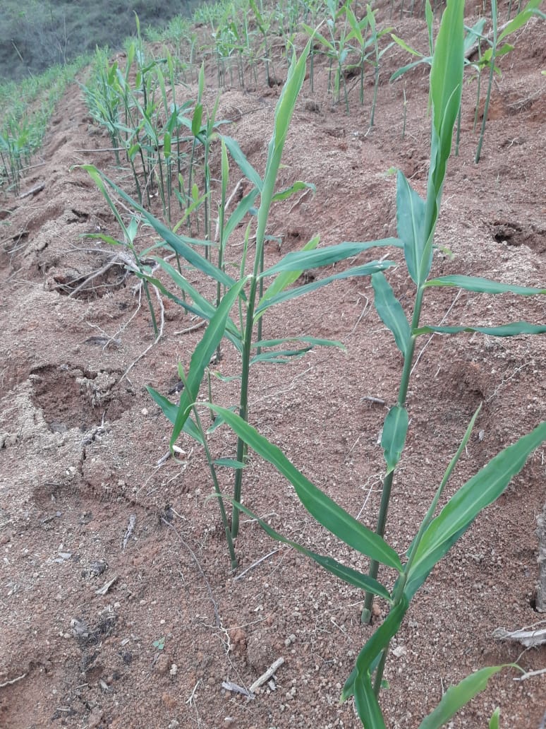 WhatsApp Image 2021-10-25 at 19.55.59.jpeg