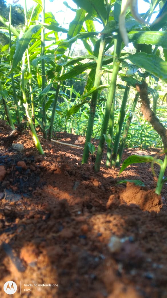 WhatsApp Image 2021-12-05 at 08.10.56.jpeg