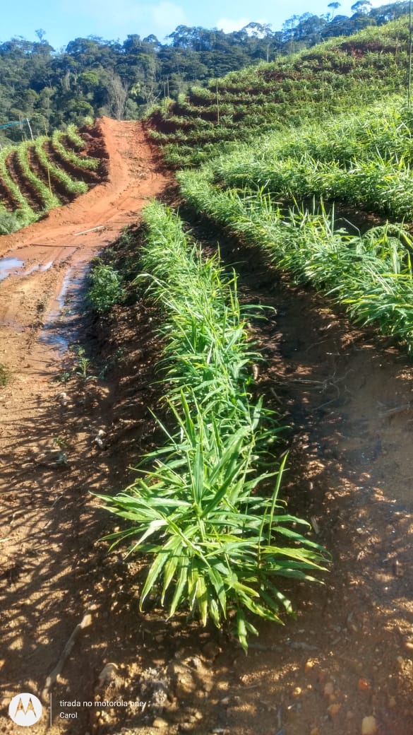 WhatsApp Image 2021-12-05 at 08.10.53.jpeg