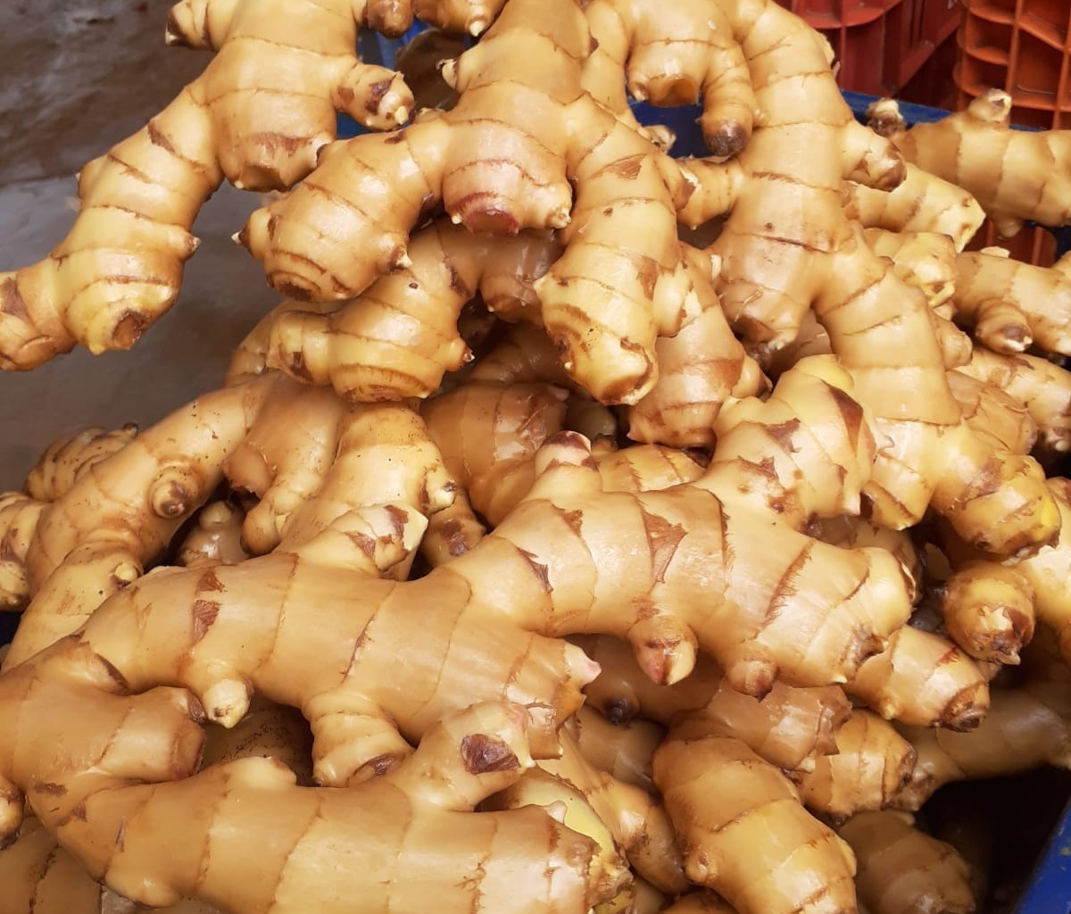 WhatsApp Image 2021-11-11 at 09.49.43 (7).jpeg