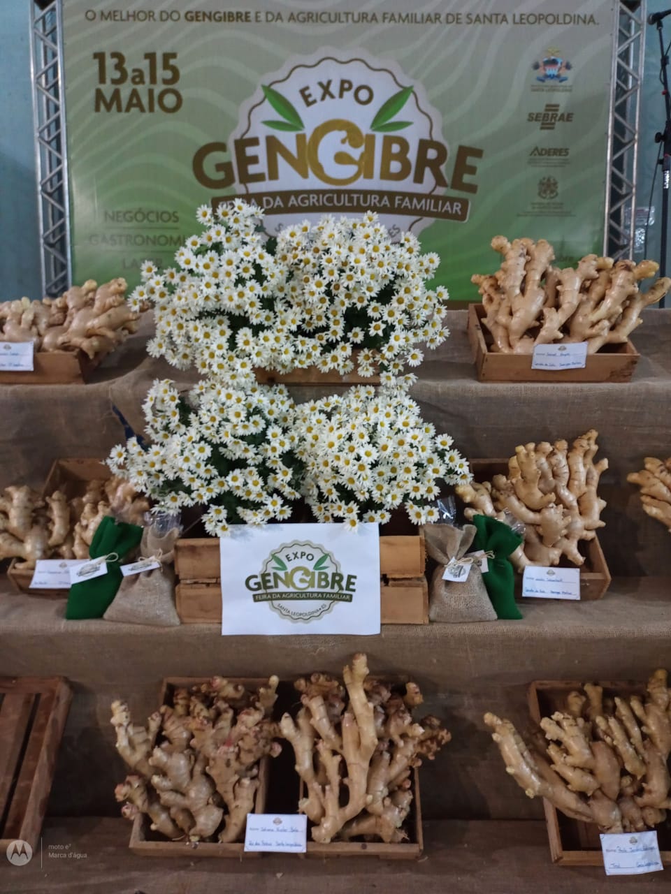 WhatsApp Image 2023-08-22 at 17.12.47.jpeg