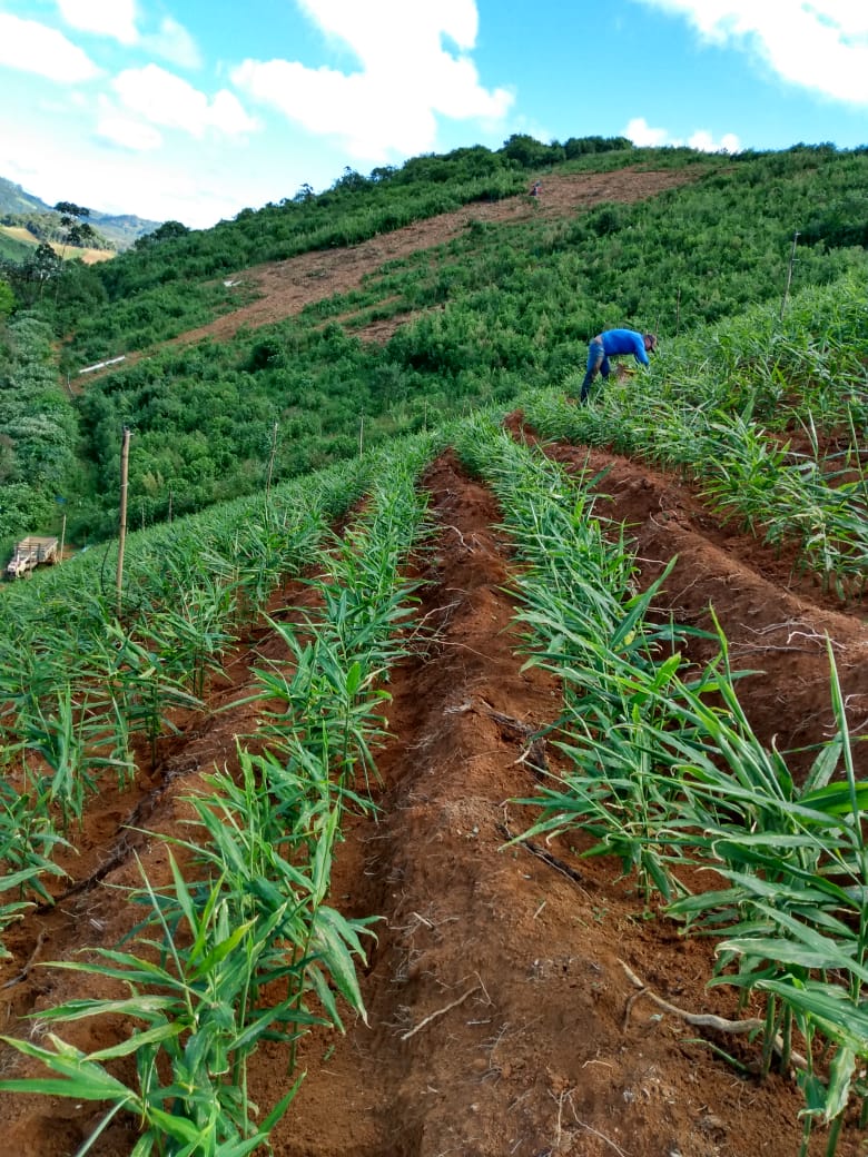 WhatsApp Image 2021-12-02 at 11.38.28.jpeg