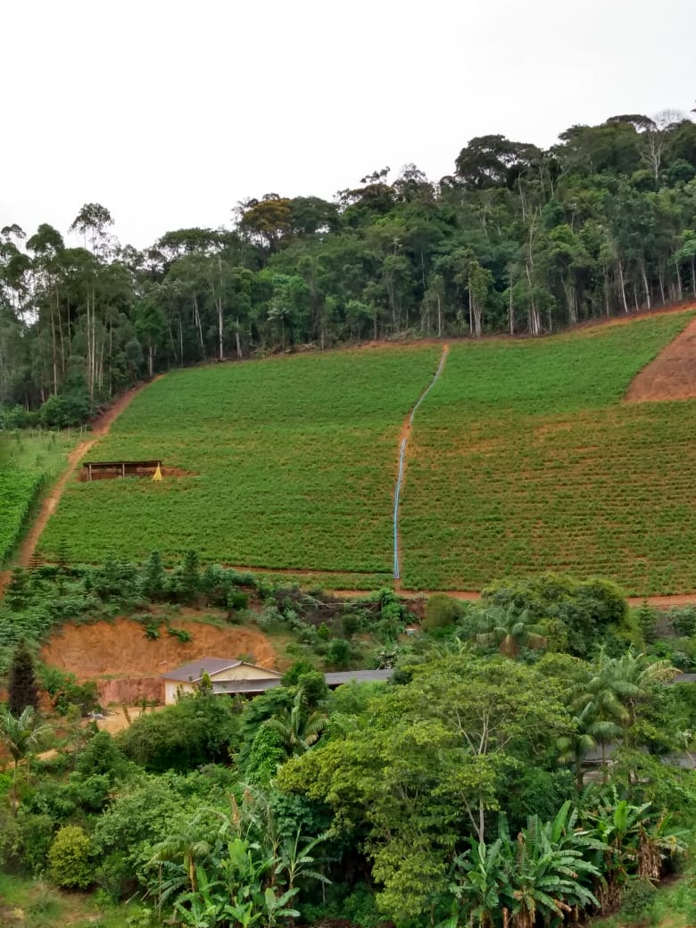 WhatsApp Image 2021-12-09 at 06.35.22.jpeg