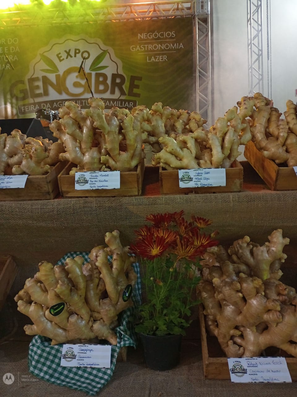 WhatsApp Image 2023-08-22 at 17.12.42.jpeg