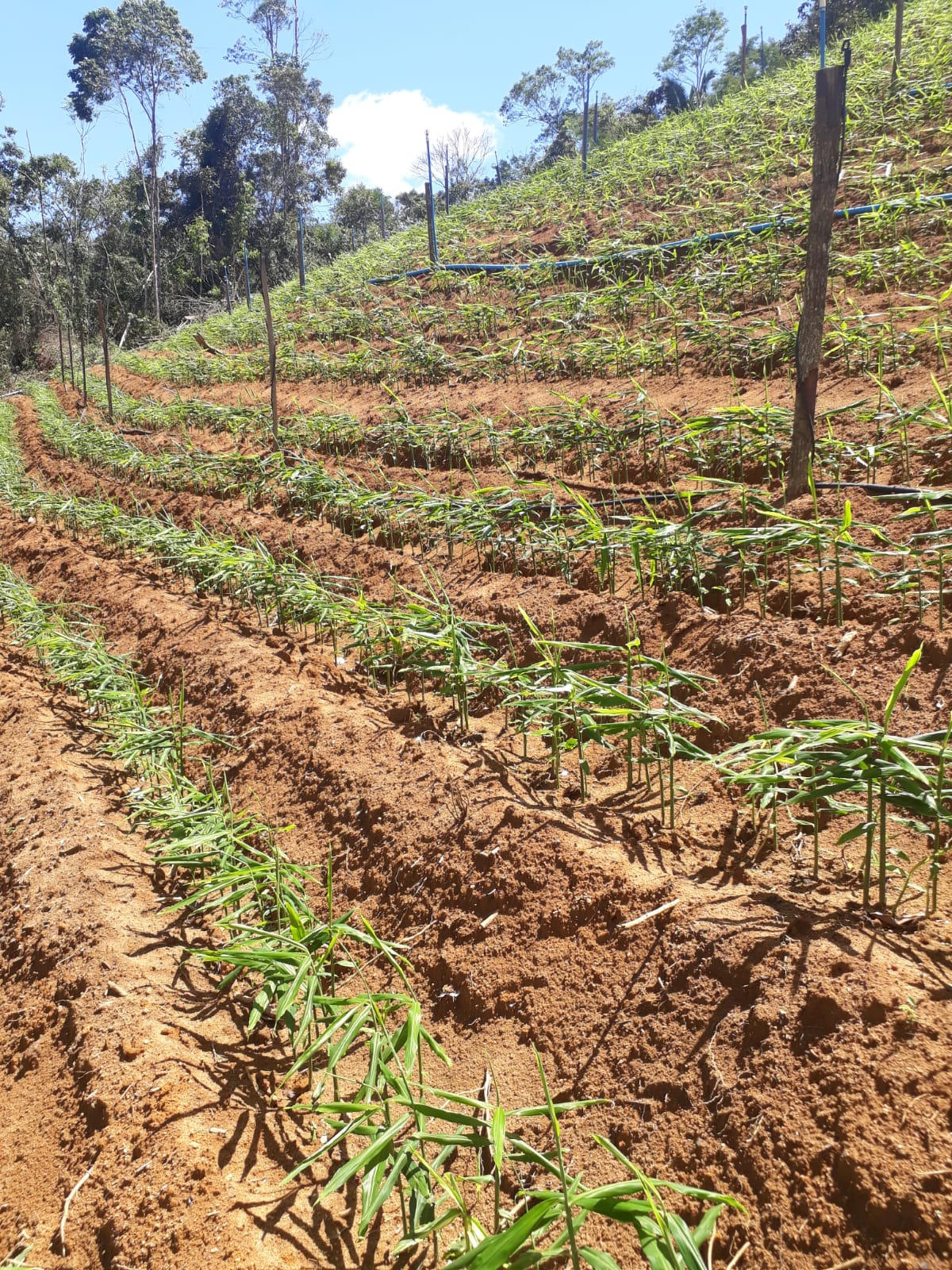 WhatsApp Image 2021-11-28 at 10.12.05.jpeg