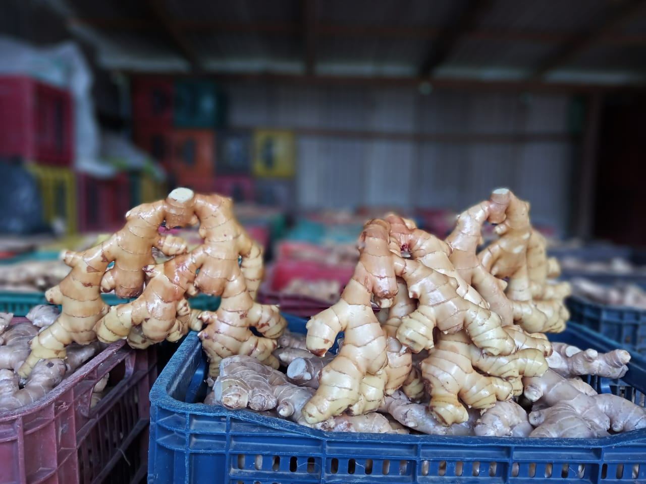 WhatsApp Image 2022-08-25 at 13.01.47.jpeg