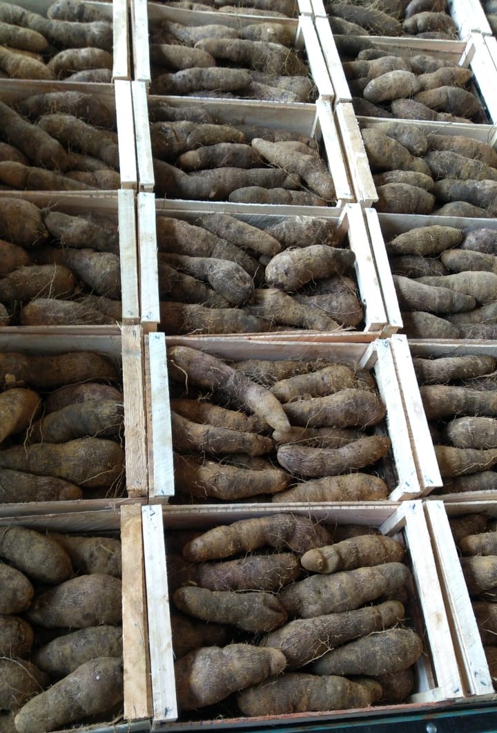 WhatsApp Image 2021-12-08 at 13.05.26 (3).jpeg