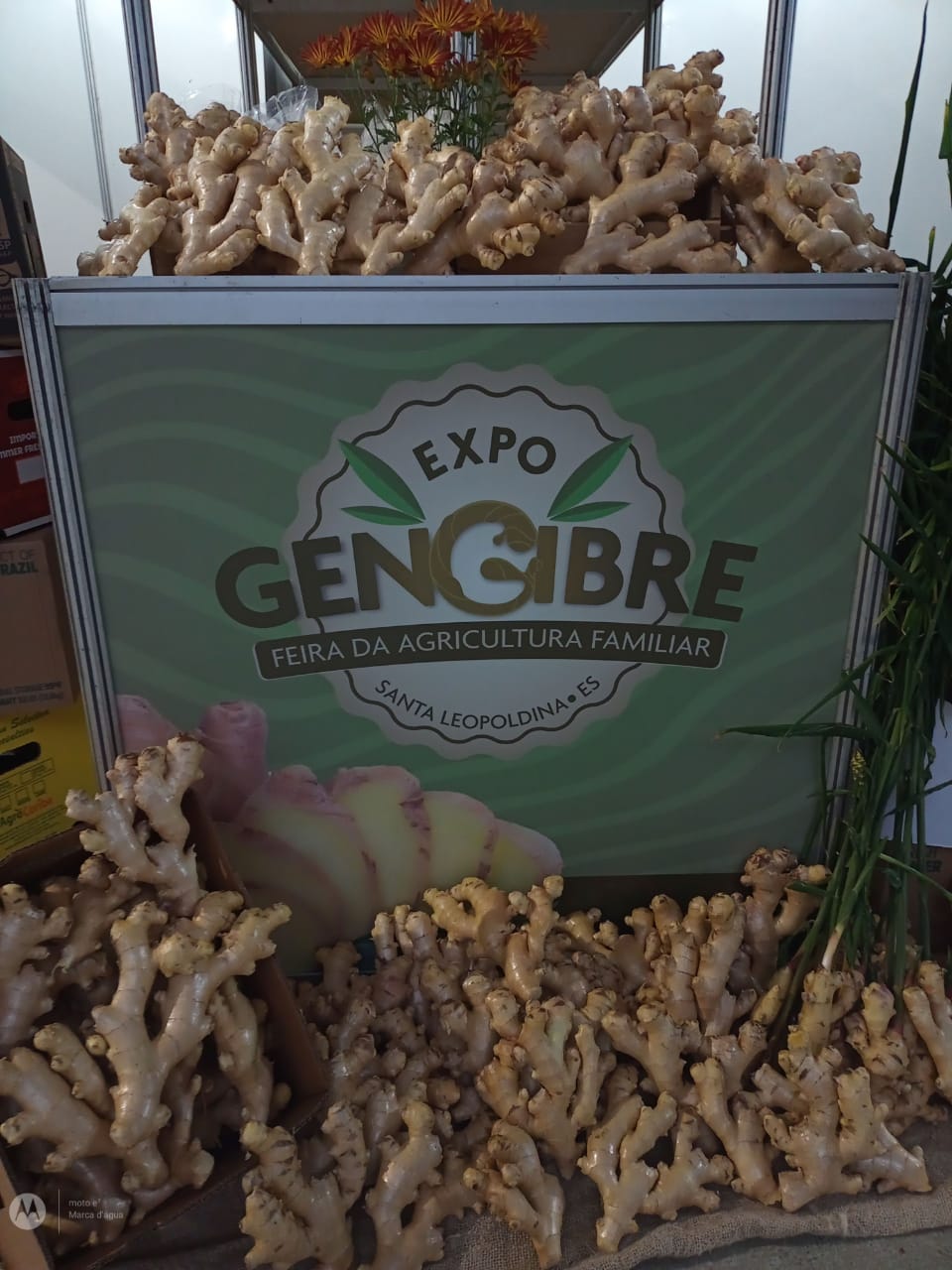 WhatsApp Image 2023-08-22 at 17.12.46 (2).jpeg