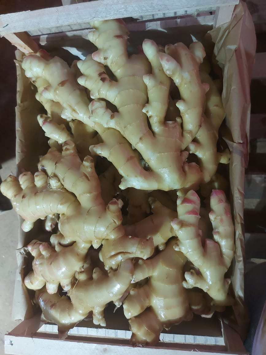 WhatsApp Image 2022-08-23 at 15.58.34.jpeg