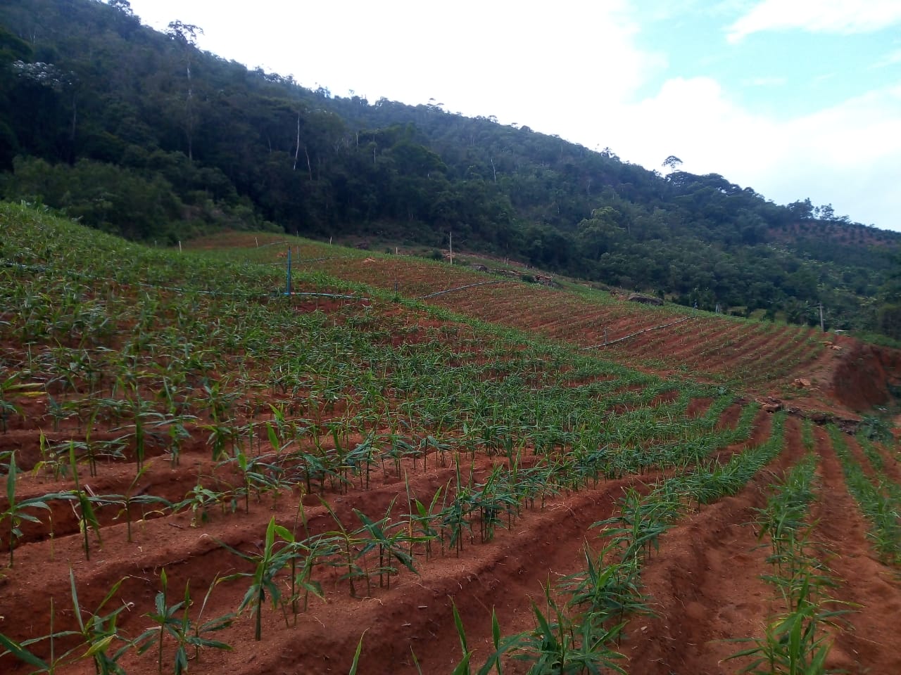 WhatsApp Image 2021-12-08 at 19.46.47.jpeg