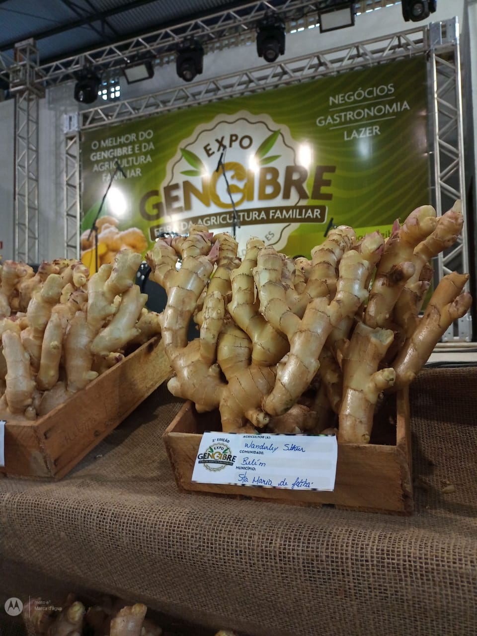 WhatsApp Image 2023-08-22 at 17.12.43.jpeg