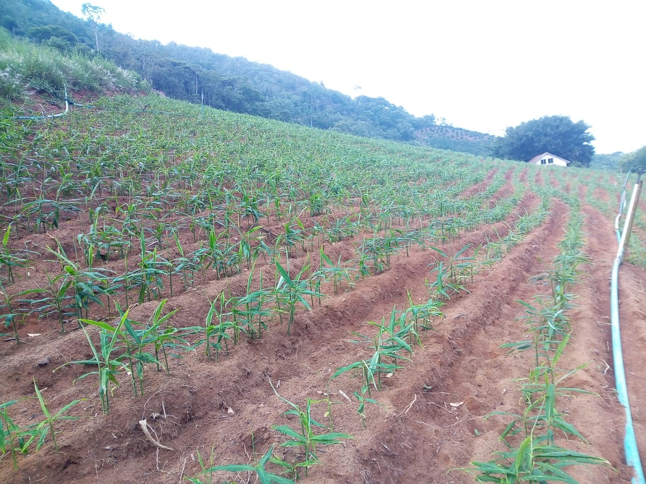 WhatsApp Image 2021-12-08 at 19.46.48 (1).jpeg