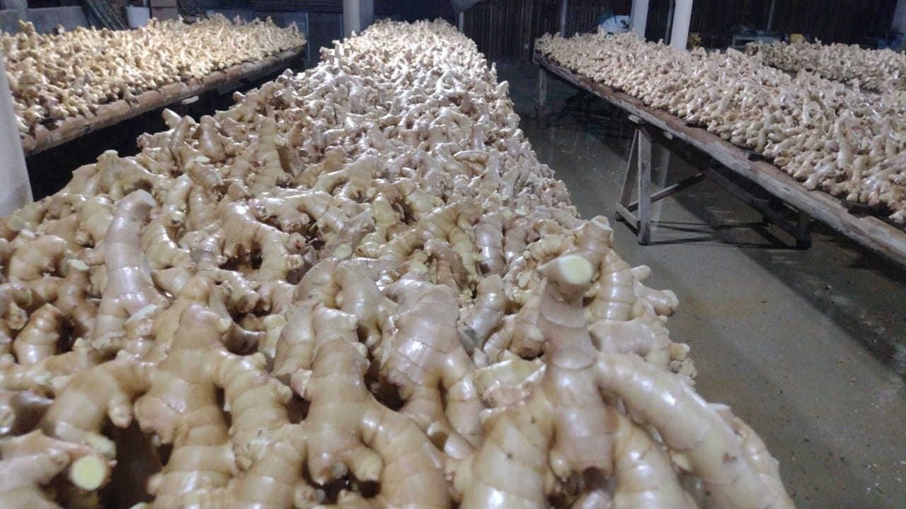 WhatsApp Image 2022-08-25 at 13.04.12 (1).jpeg