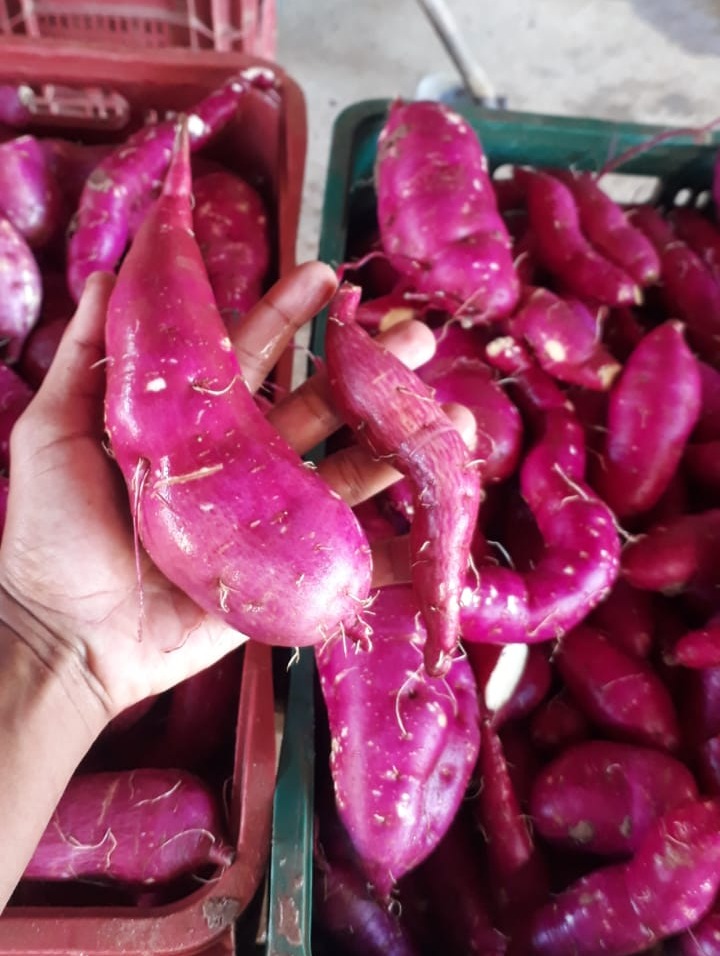 WhatsApp Image 2021-11-30 at 07.36.13.jpeg