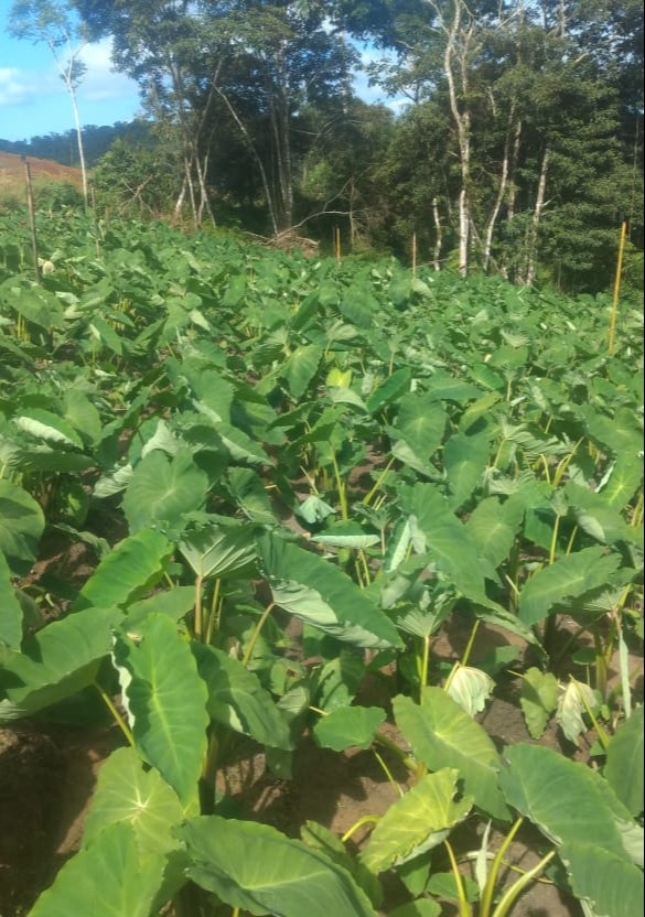 WhatsApp Image 2021-12-05 at 08.33.24 (1).jpeg