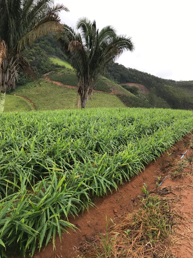 WhatsApp Image 2021-12-09 at 08.33.40.jpeg