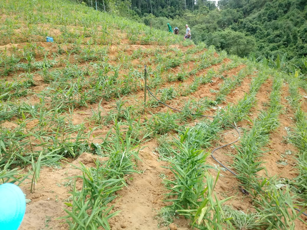 WhatsApp Image 2021-12-08 at 18.07.55.jpeg