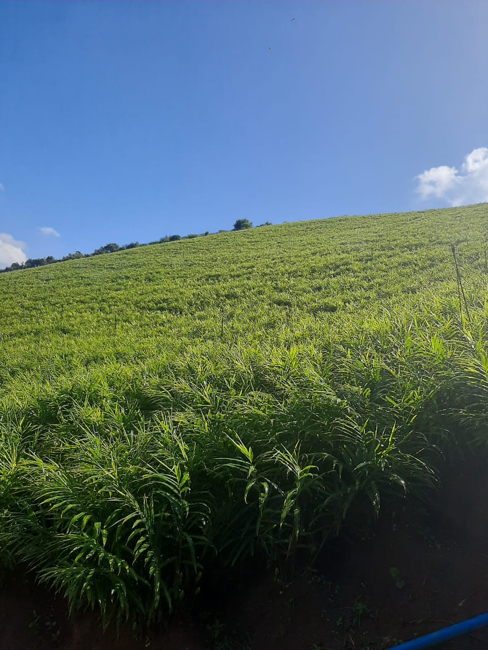 WhatsApp Image 2021-12-09 at 05.55.46 (1).jpeg