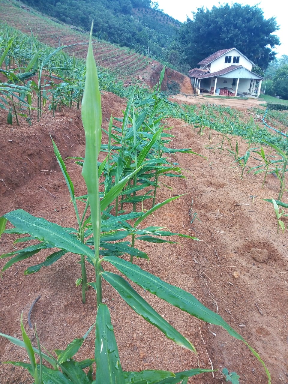 WhatsApp Image 2021-12-08 at 19.46.48.jpeg