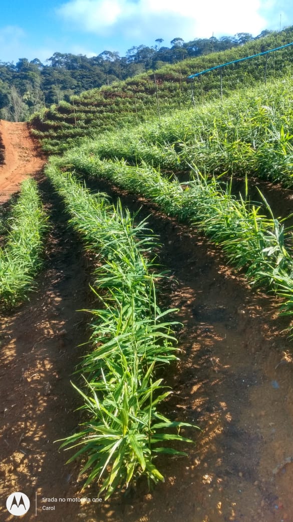 WhatsApp Image 2021-12-05 at 08.11.06 (1).jpeg