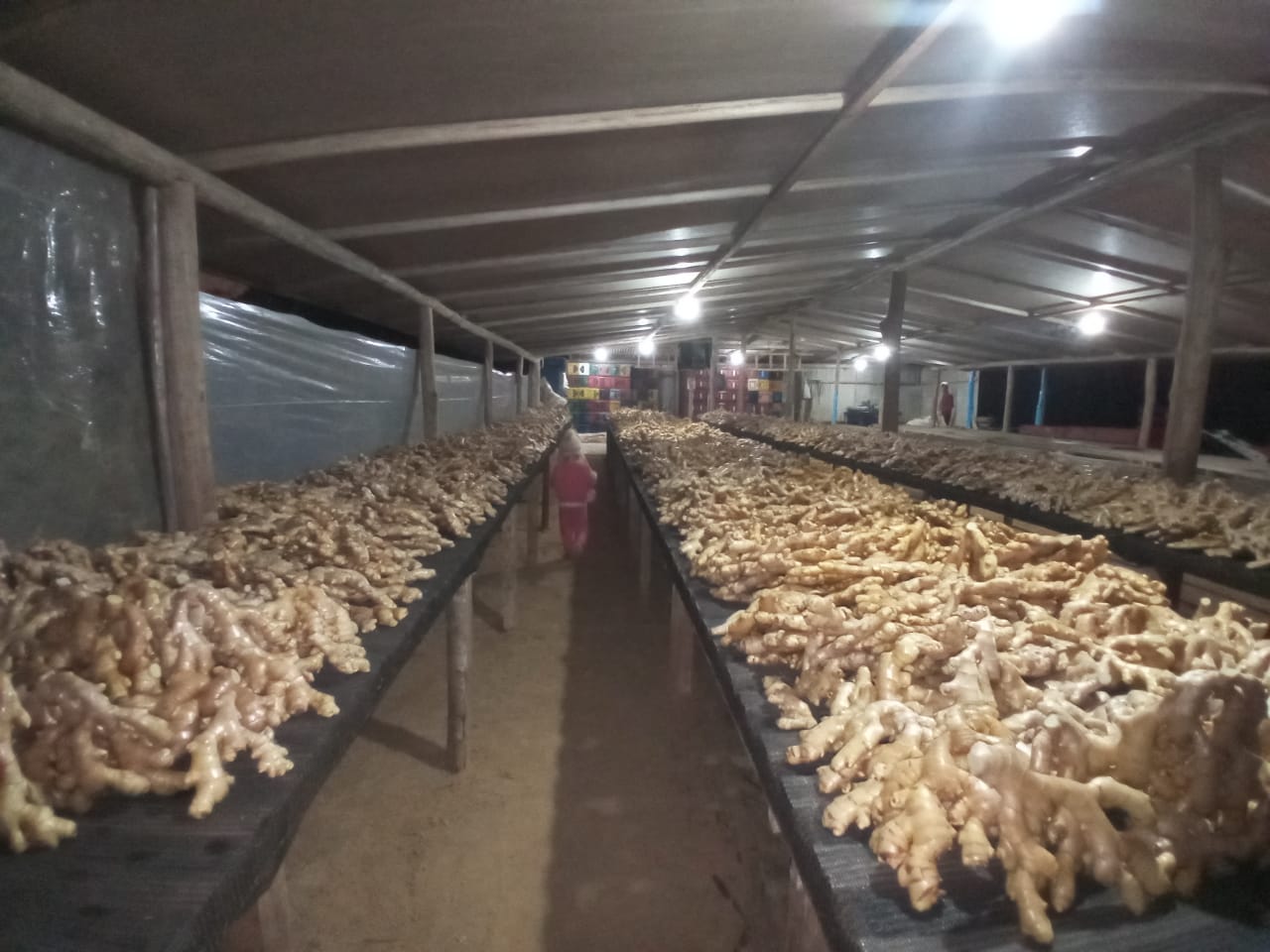 WhatsApp Image 2022-08-25 at 13.01.46.jpeg