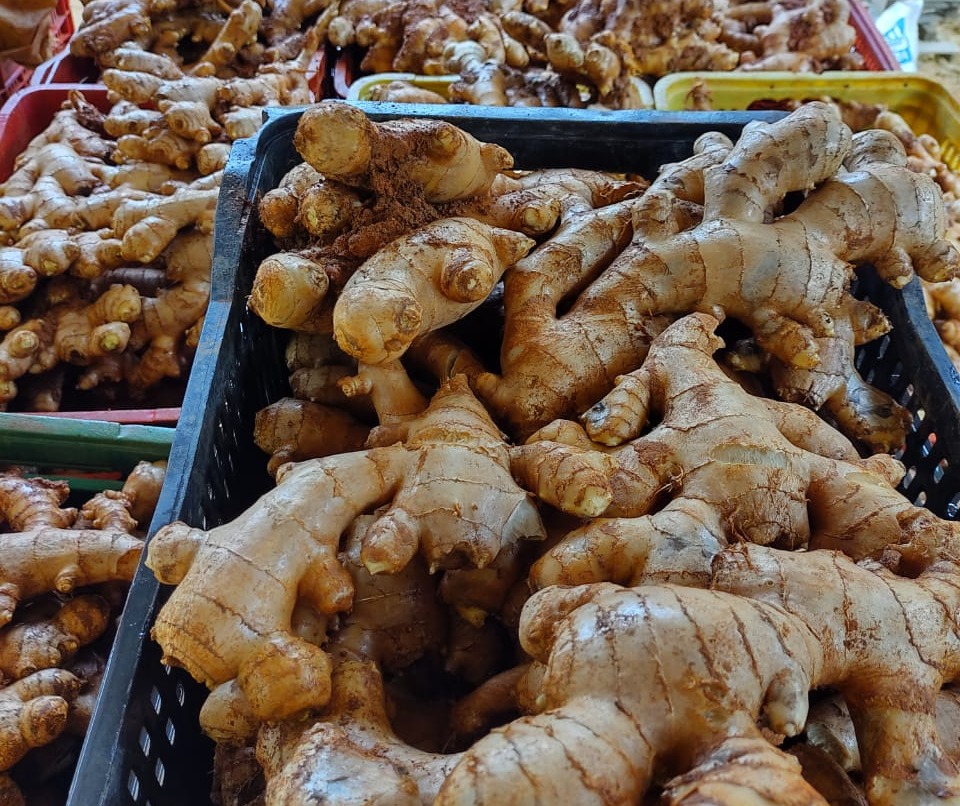 WhatsApp Image 2021-10-24 at 13.42.58 (1).jpeg