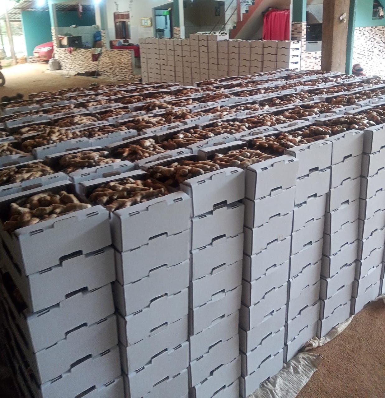 WhatsApp Image 2021-11-03 at 19.22.35.jpeg