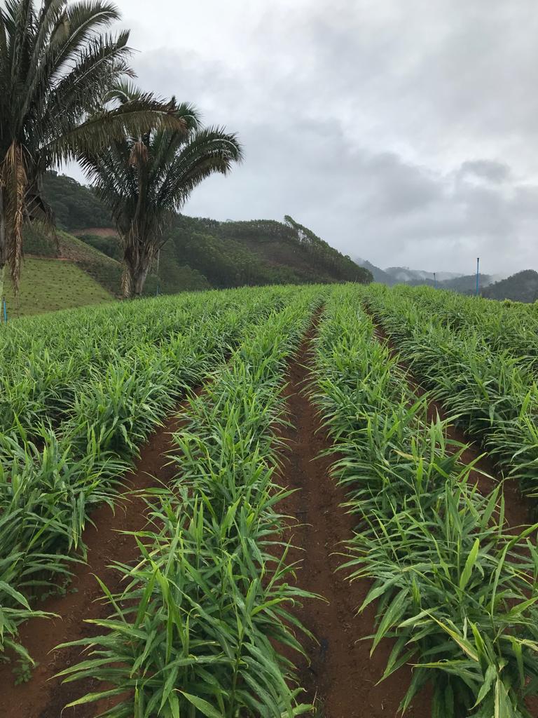 WhatsApp Image 2021-12-09 at 08.33.40 (1).jpeg