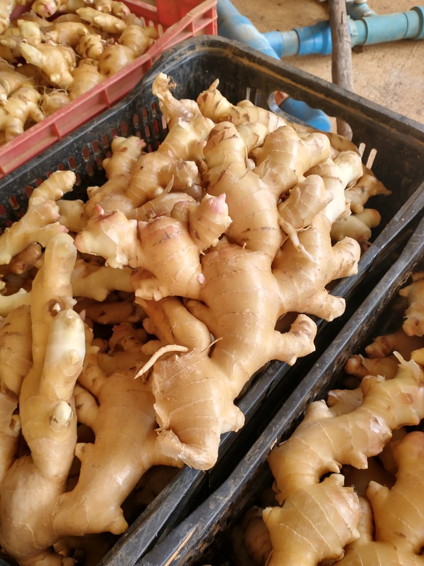 WhatsApp Image 2022-08-23 at 15.58.34 (1).jpeg