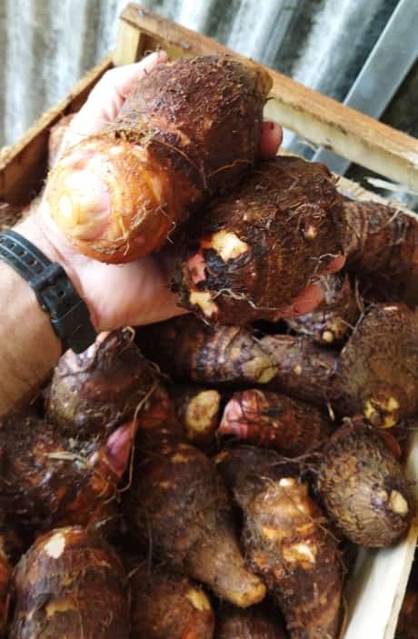 WhatsApp Image 2021-11-29 at 20.24.22.jpeg