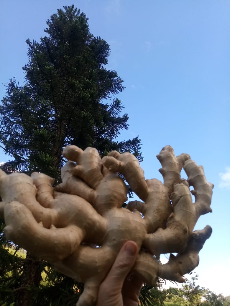 WhatsApp Image 2021-12-08 at 16.54.09.jpeg