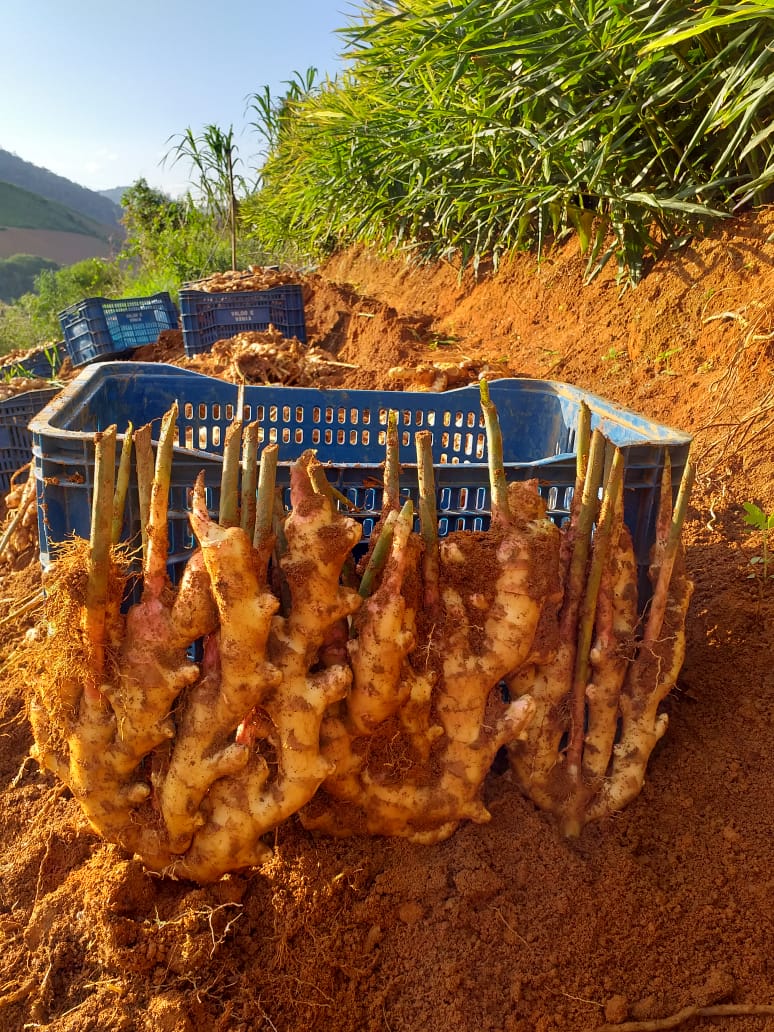 WhatsApp Image 2021-12-09 at 10.04.34 (1).jpeg