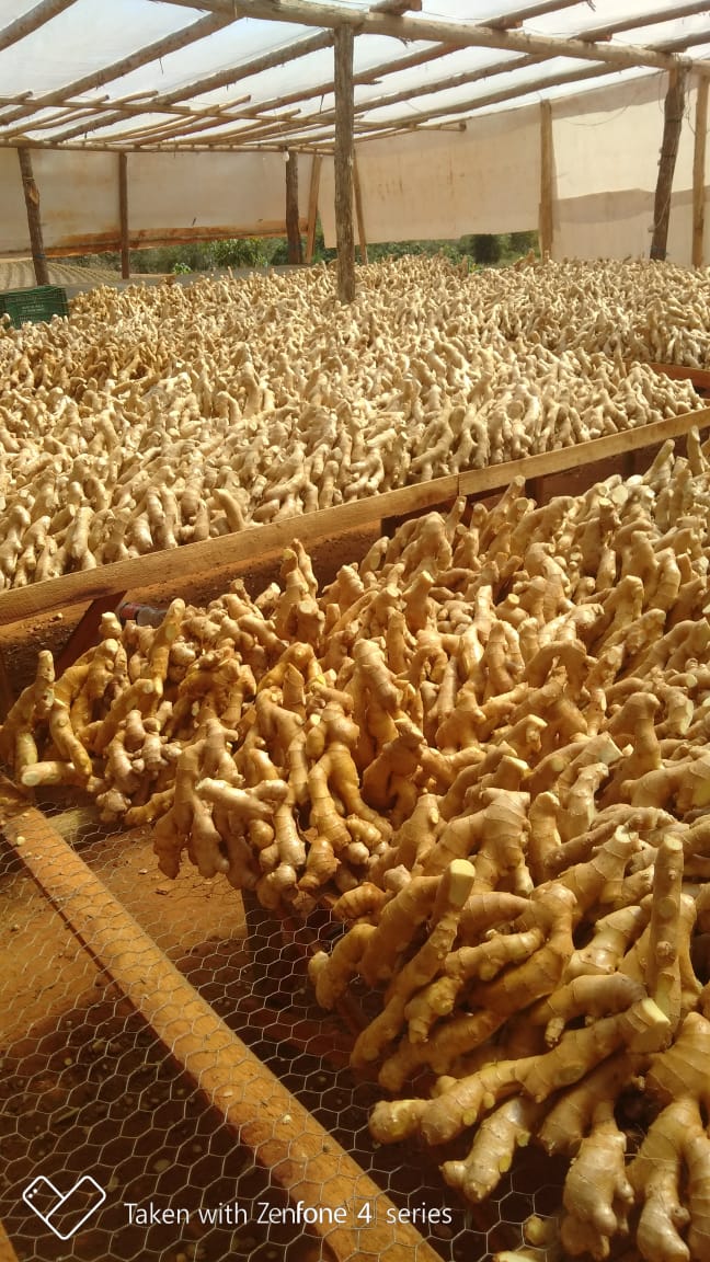 WhatsApp Image 2022-08-24 at 12.27.09.jpeg