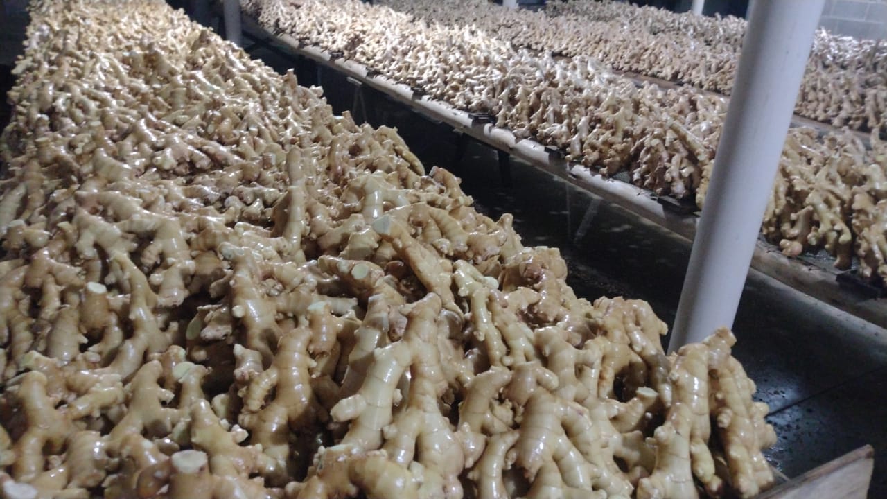 WhatsApp Image 2022-08-25 at 13.04.12.jpeg