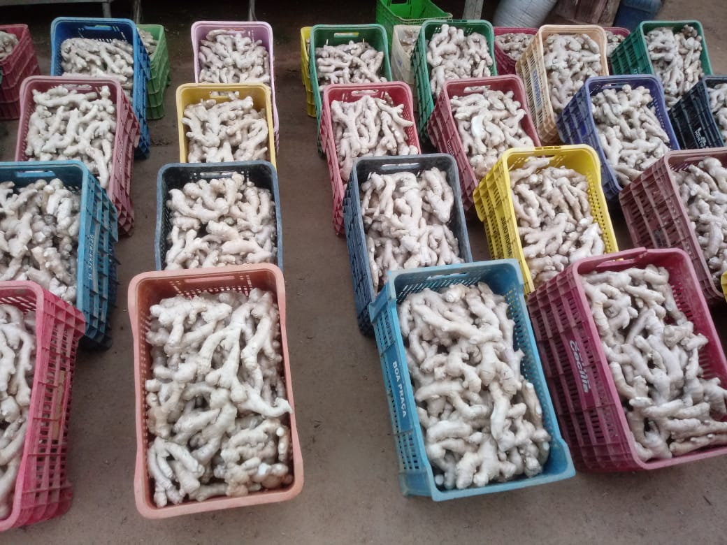 WhatsApp Image 2021-10-27 at 18.47.21.jpeg