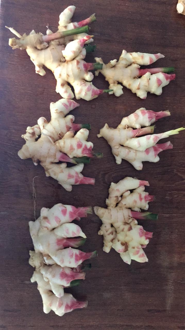 WhatsApp Image 2021-12-07 at 17.00.47 (3).jpeg