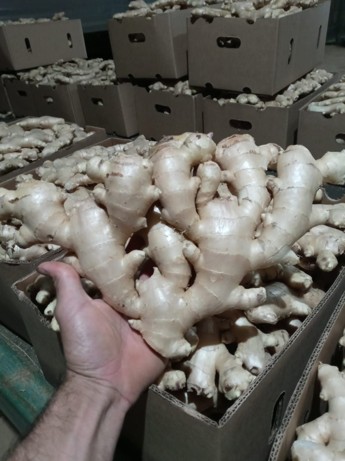 WhatsApp Image 2022-08-23 at 15.58.34 (2).jpeg