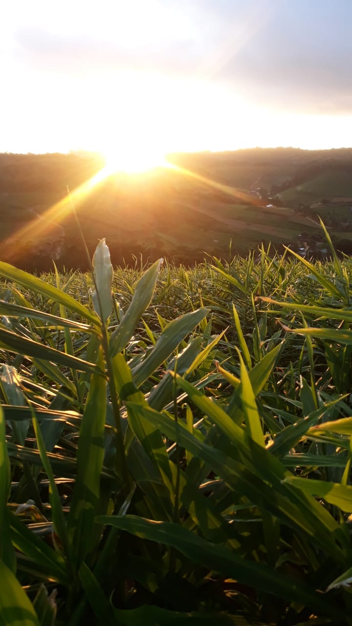 WhatsApp Image 2021-12-08 at 19.03.51.jpeg