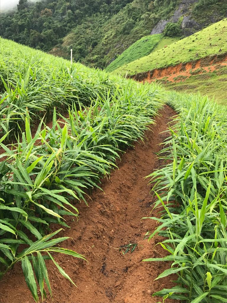 WhatsApp Image 2021-12-09 at 08.33.40 (3).jpeg