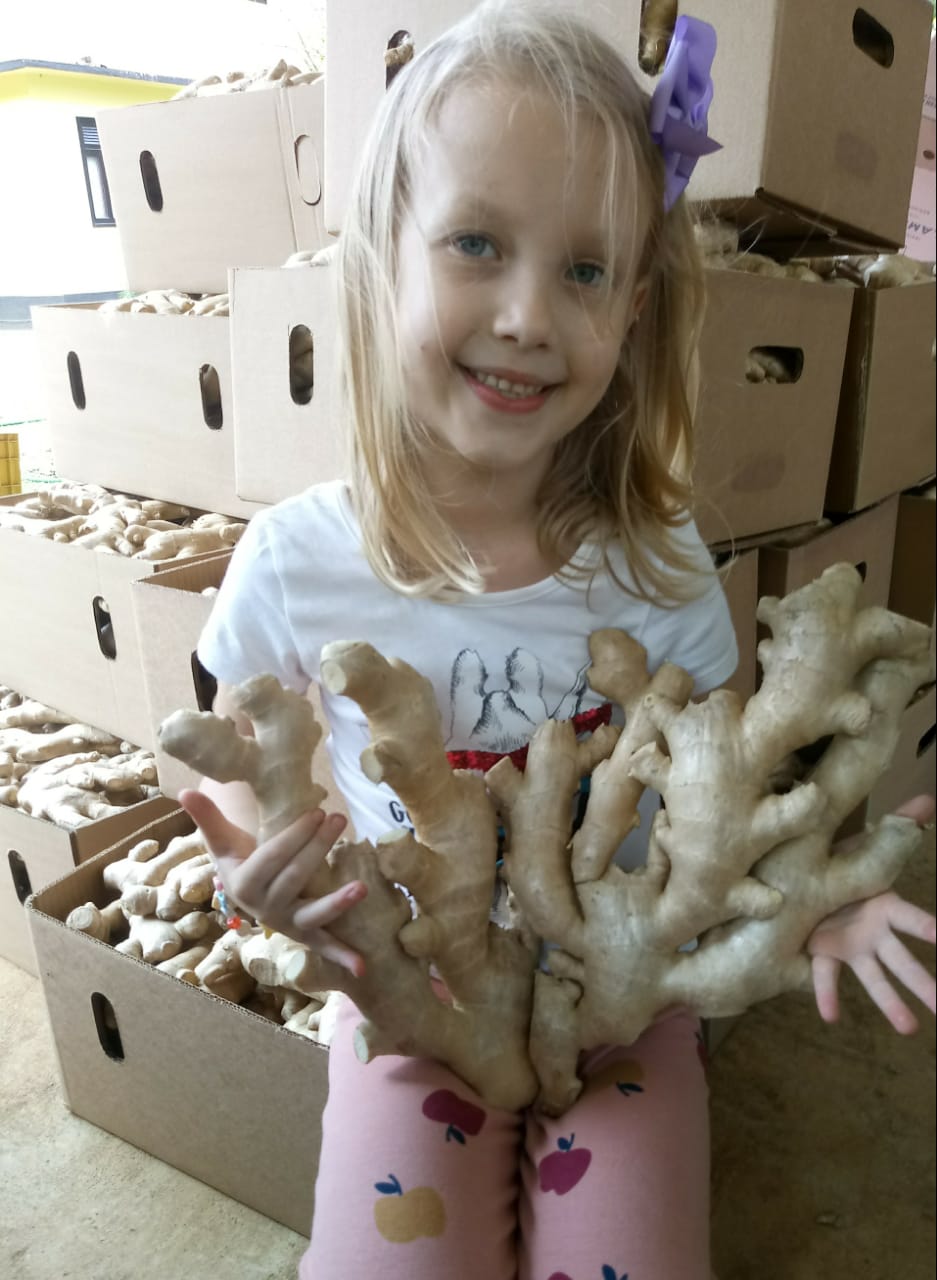 WhatsApp Image 2021-12-08 at 16.54.00.jpeg