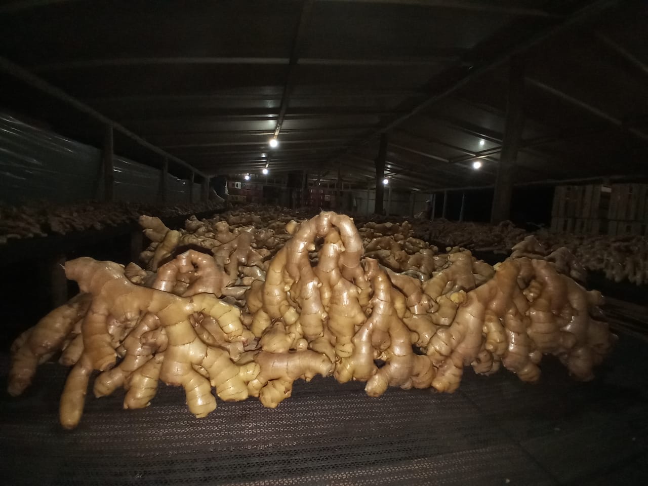 WhatsApp Image 2022-08-25 at 13.01.45.jpeg