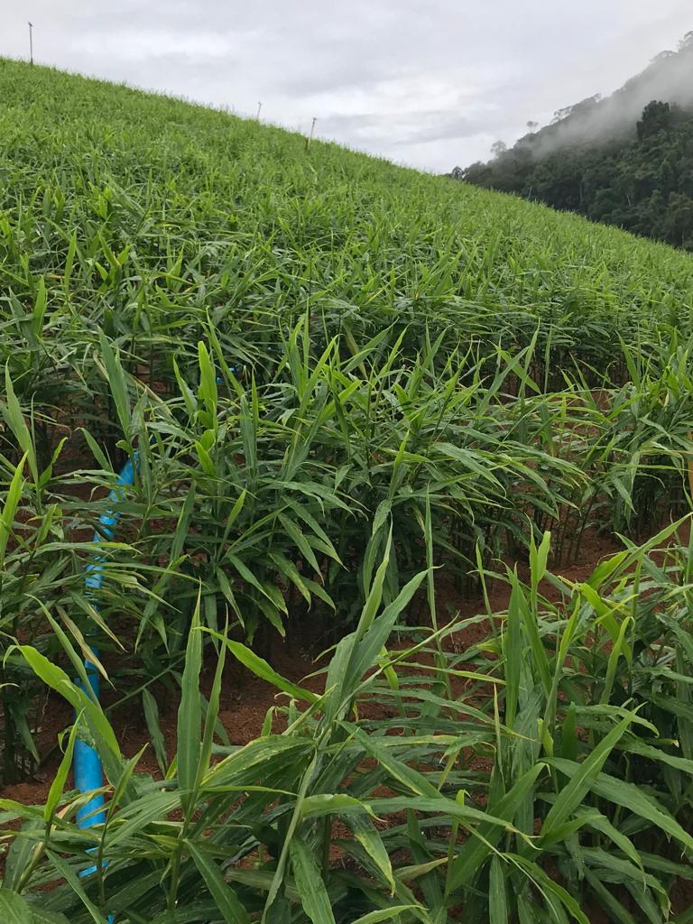 WhatsApp Image 2021-12-09 at 08.33.40 (2).jpeg