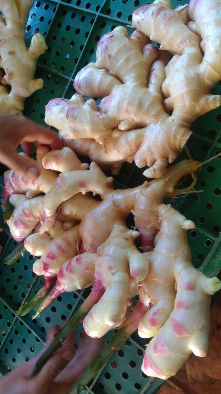 WhatsApp Image 2021-12-07 at 17.00.47 (1).jpeg