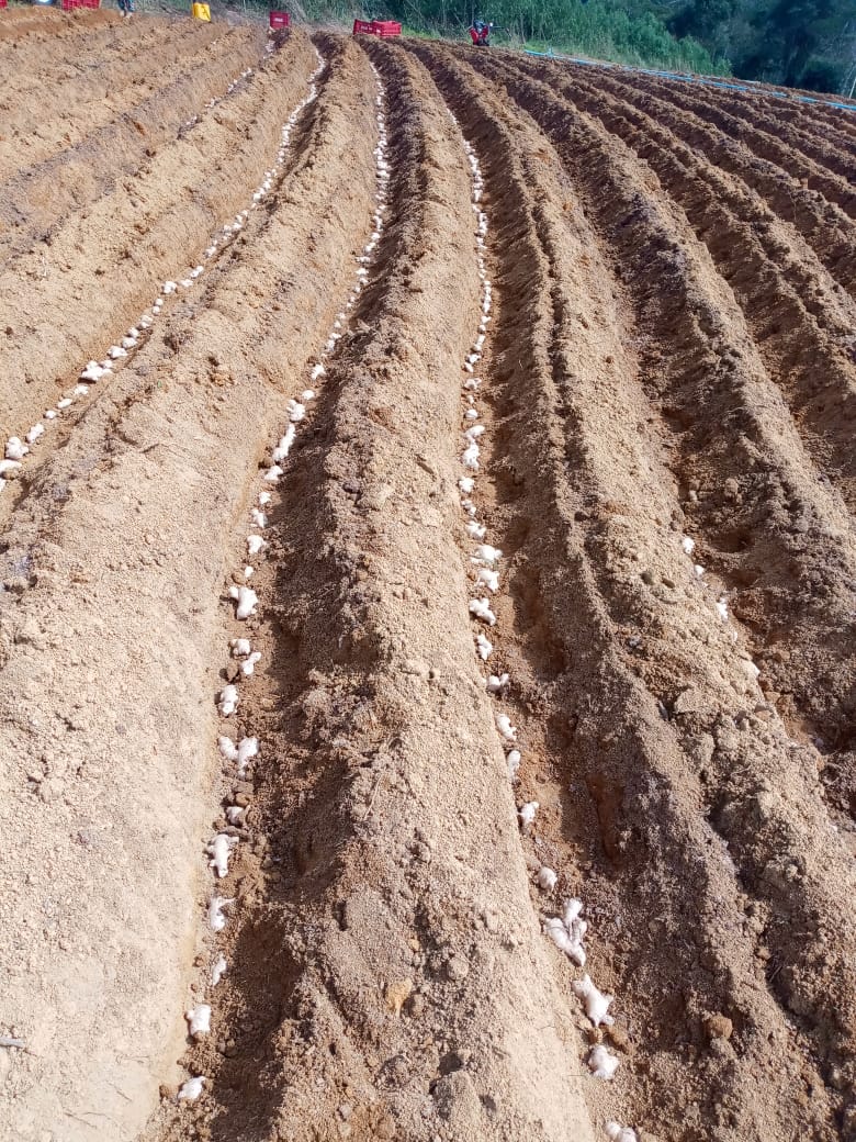 WhatsApp Image 2021-10-09 at 21.41.44.jpeg