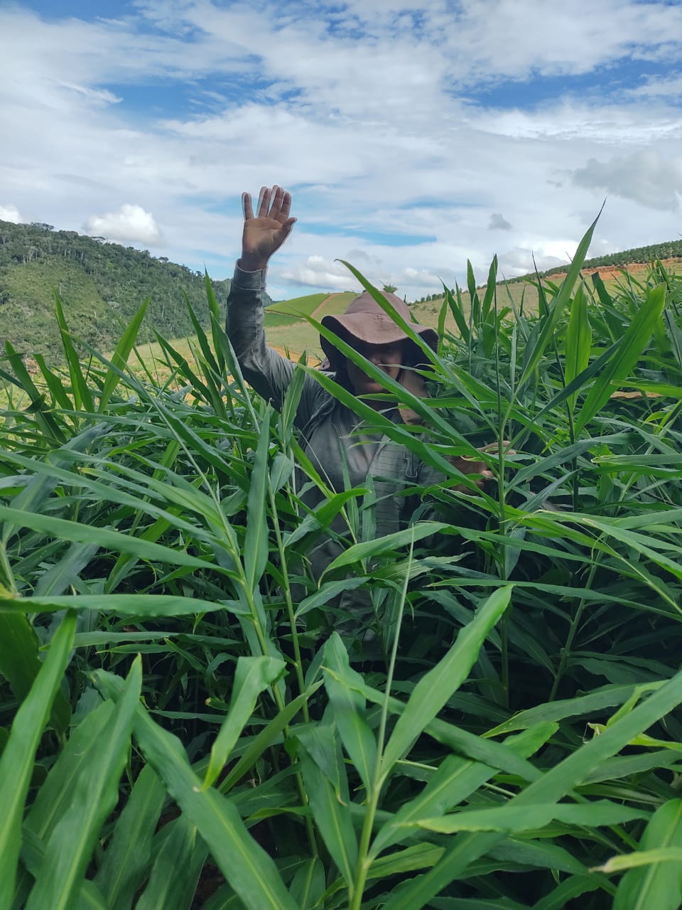 WhatsApp Image 2021-10-24 at 13.30.55.jpeg