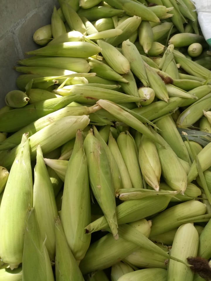 WhatsApp Image 2021-12-09 at 11.42.19 (1).jpeg