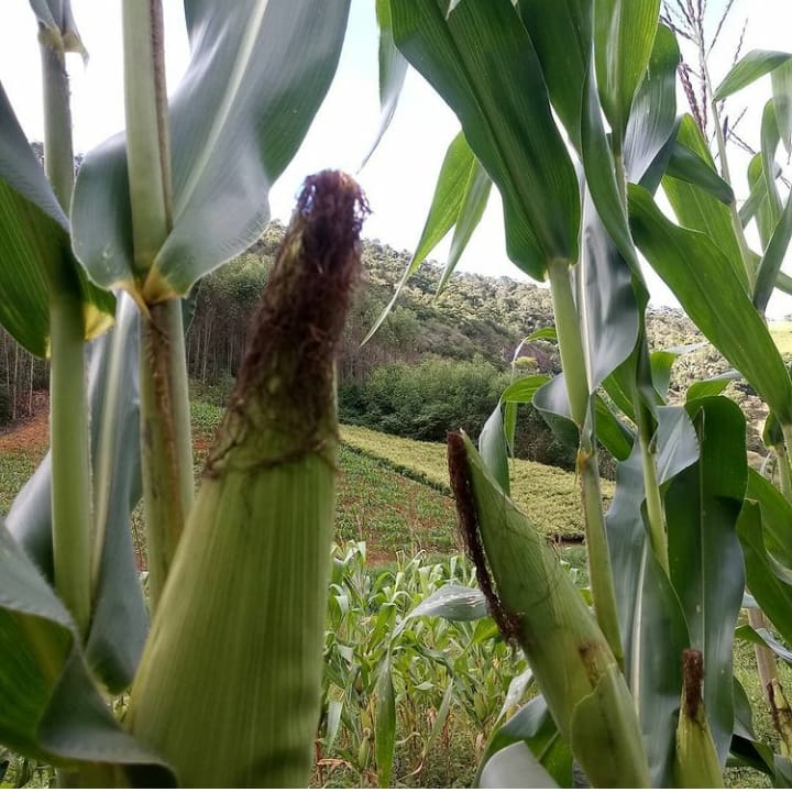 WhatsApp Image 2021-12-09 at 11.42.20.jpeg