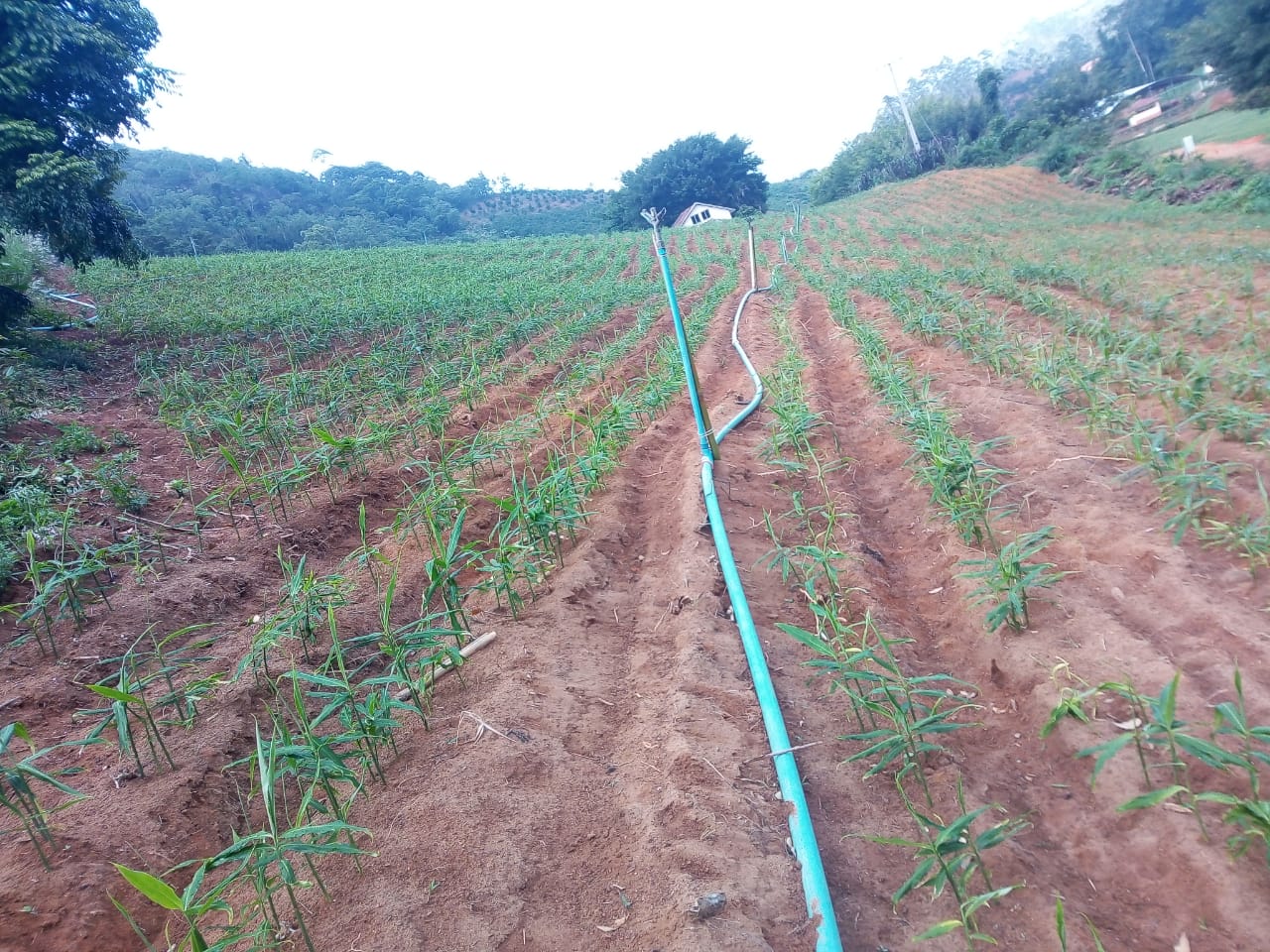 WhatsApp Image 2021-12-08 at 19.46.49.jpeg